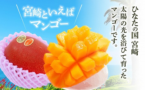 《2026年発送先行予約》【数量・期間限定】宮崎県産 太陽のタマゴ 1玉_M184-003_02