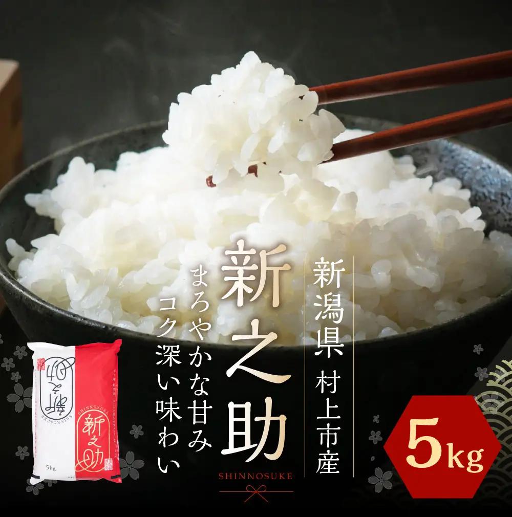 【令和8年産米】新潟県村上市岩船産 新之助 5kg 1027009