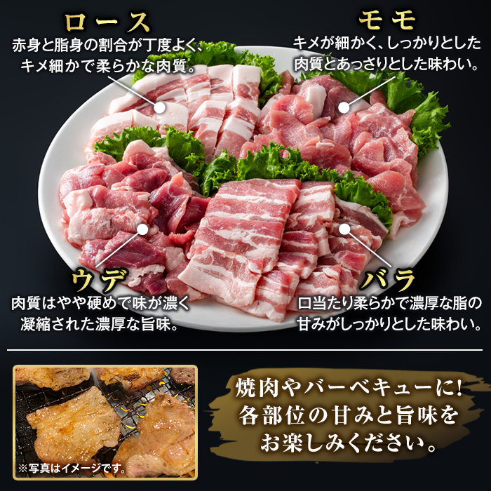 K-379-B 鹿児島県産霜降りトロ豚 焼肉用バラエティセット(合計2kg)【KNOT】霧島市 ロース バラ ウデ モモ 焼き肉 ヤキニク 豚肉 国産 鹿児島県産 肉 精肉 小分け セット 食べ比べ