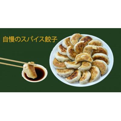 ふるさと納税 草津市 スパイス餃子60個