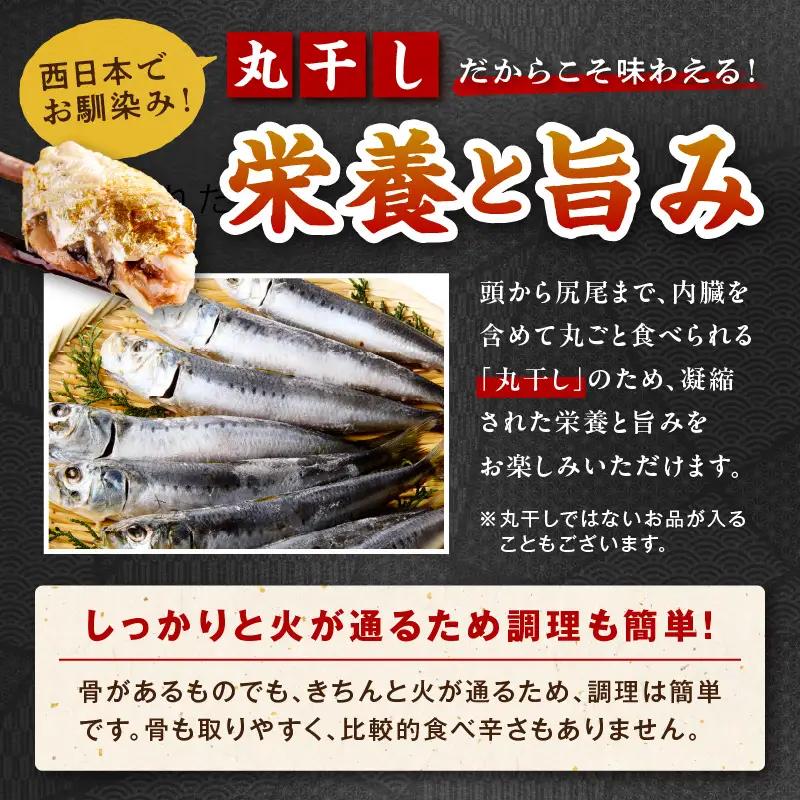 【最短2～5営業日以内に発送】おまかせ干物セット（冷凍） 干物
