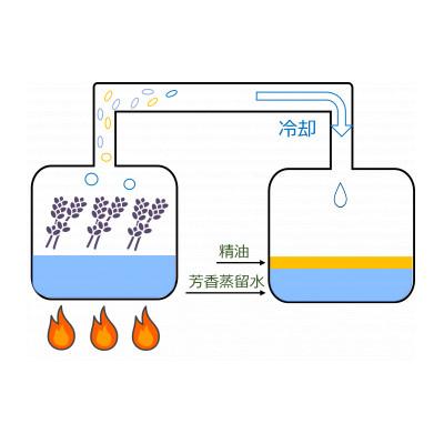 ふるさと納税 久喜市 久喜市菖蒲産ラベンダー芳香蒸留水(ハイドロゾル)100ml |  | 03