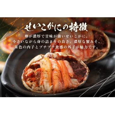 ふるさと納税 越前町 【のし付】せいこがに 甲羅盛り × 18パック　福井の網元漁師「福丸」が厳選! |  | 01