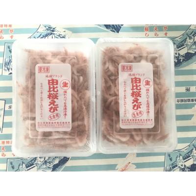ふるさと納税 静岡市 由比港生桜えびセット200g×2