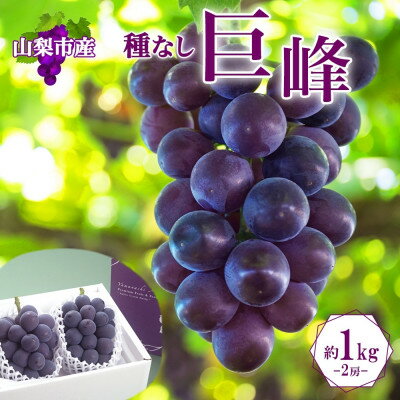 【ふるさと納税】〈2025年先行予約〉濃厚な味わいが特徴!「山梨県山梨市産の巨峰 2房 約1kg」【配送不可地域：離島・沖縄県】【1513024】