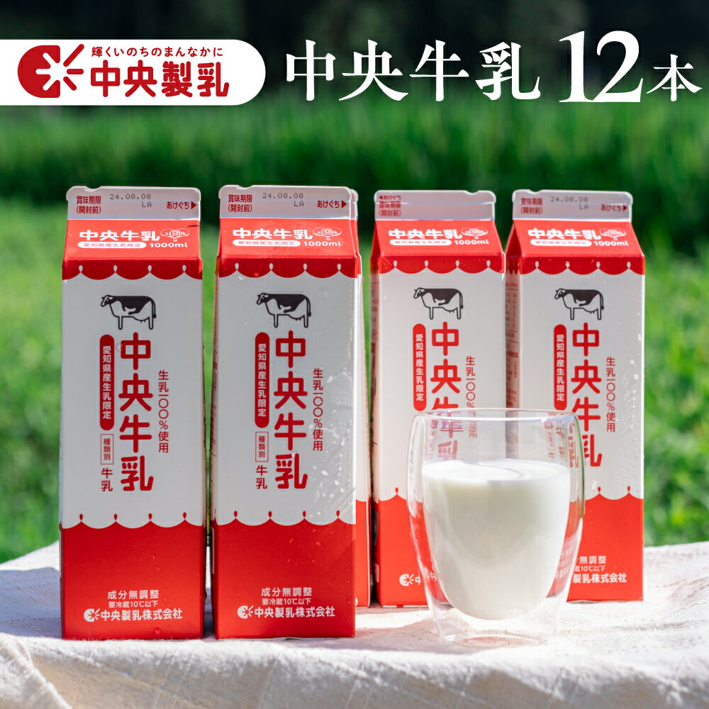 【ふるさと納税】中央製乳 中央牛乳 1L 12本 計12L 牛乳 ミルク 成分無調整 牛乳 新鮮 生乳100%使用 愛知産生乳限定 大容量 給食 愛知県産 国産 牛乳 送料無料
