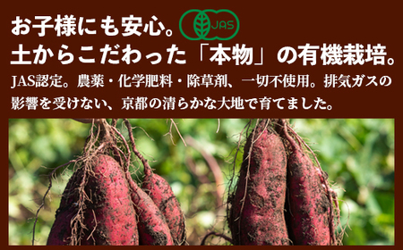京都産 紅はるか 有機ほしいも 600g（100g×6） 干し芋