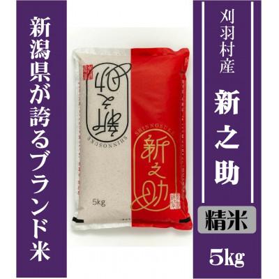 ふるさと納税 刈羽村 【新潟ブランド米】【精米】刈羽村産新之助 5kg