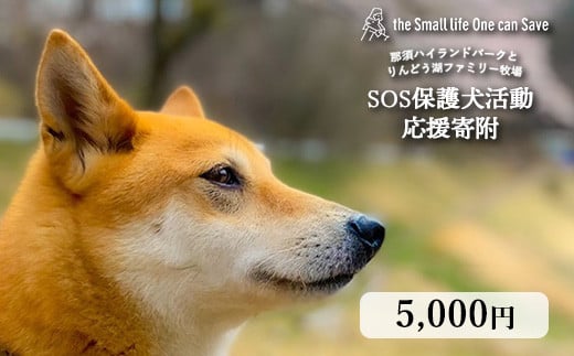 那須ハイ＆りんどう湖　SOS保護犬活動　お礼品なし〔A-57〕