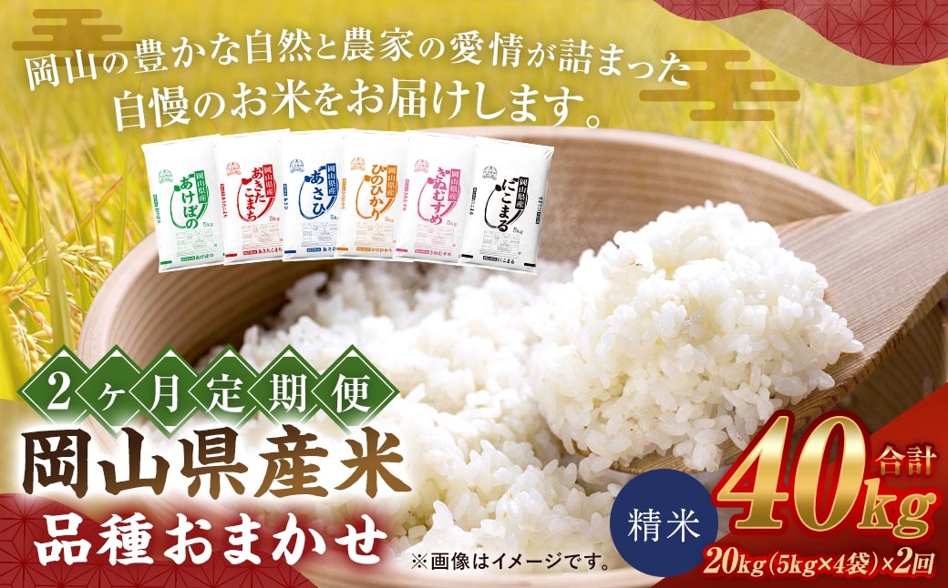 
                  【 2ヶ月定期 】 【 令和8年産 】 岡山県産米 品種おまかせ 20kg （ 5kg × 4袋 ） お米 米 こめ コメ 白米 精米 白飯 飯 ご飯 きぬむすめ あきたこまち ひのひかり あけぼの にこまる あさひ おにぎり 和食 国産 ブランド米 ブランド 定期便 【 2026年11月上旬から2027年7月下旬迄発送予定 】
                