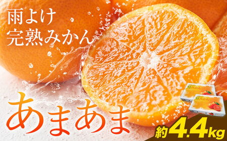 雨よけ完熟みかん「あまあま」選べる内容量 約4.4kg 正木久之《12月下旬-1月上旬》徳島県 佐那河内村 みかん ミカン 蜜柑 柑橘 箱入り 化粧箱 フルーツ 果物 くだもの 贈答【配送不可地域あり】※離島不可
