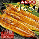 【ふるさと納税】高知県産養殖うなぎ蒲焼 10尾(合計1000g以上) - 鰻 ウナギ 国産 蒲焼き かば焼き かばやき うな丼 うな重 ギフト お中元 御中元 父の日 お礼 御礼 感謝 贈答 贈り物 土用の丑の日 高知県 香南市【冷凍】ss-0041