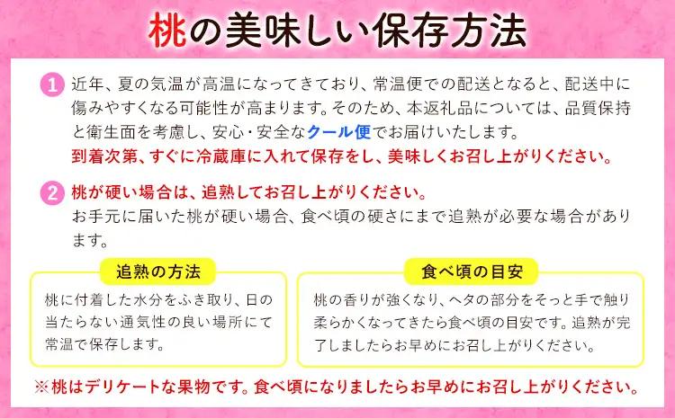 【2027年発送】岡山の桃 約1.3kg 　白桃