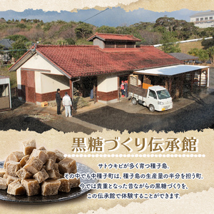 n353 ＜先行予約受付中！2025年12月中旬頃より順次発送予定＞種子島産さとうきび使用！ 黒糖(10袋) 国産 種子島 黒砂糖 砂糖 粗糖 調味料 甘味 お菓子作り サトウキビ 常温 【黒糖づくり