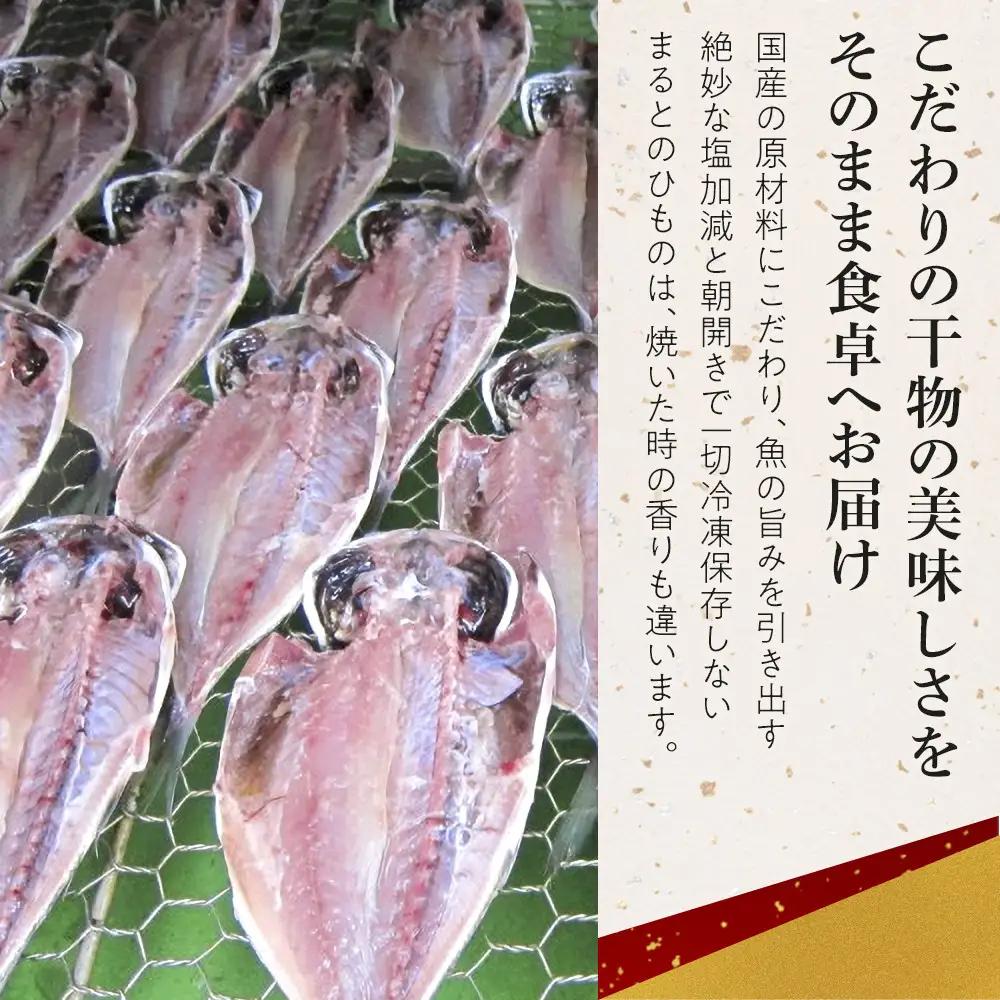小田原ひもの詰合せ s45【ひもの】