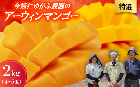 【2026年7月から順次発送・特選】今帰仁ゆがふ農園のアーウィンマンゴー2kg(4～5玉)【配送不可地域：離島】【1694716】