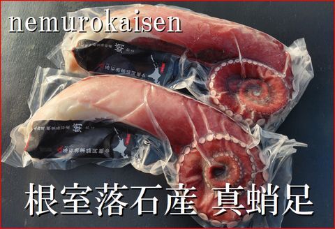 【北海道根室産】刺身用真だこ足800g～1.2kg前後×2本 C-57045