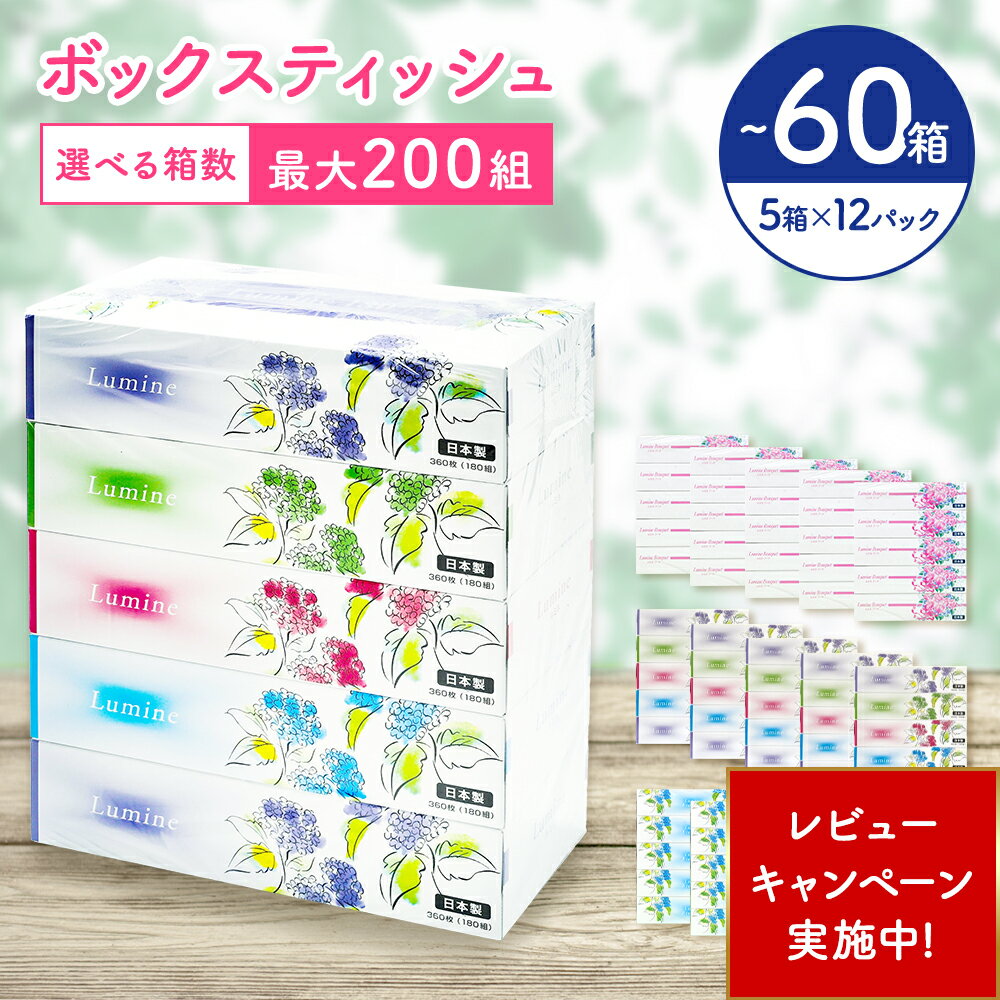 【ふるさと納税】【数量限定レビューキャンペーン中】＼選べる配送月／ ティッシュ ティシュー ティッシュペーパー ボックス 60箱 5個×12パック ルミネ やわらか 高品質 ティッシュペーパー ティシューペーパー デザインボックス 日用品 備蓄 防災 送料無料 愛媛県 四国中央