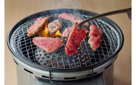 鳥取和牛 5つの部位の 焼肉 盛り合わせ 550g 和牛 黒毛和牛 国産 精肉 ブランド牛 冷凍 焼き肉 肉 ロース モモ バラ 赤身 鳥取県 倉吉市 KR84