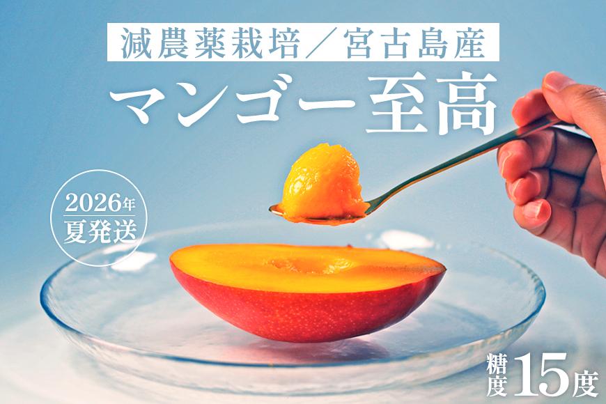 《先行予約》沖縄県宮古島産 減農薬栽培マンゴー 1kg【最良品】｜贈答用・糖度15度以上！｜琉球マルシェ