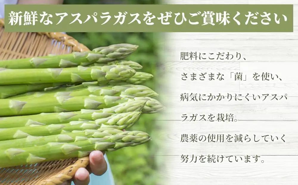 夏アスパラガス 1.5kg Lサイズ以上 2026年6月より順次発送