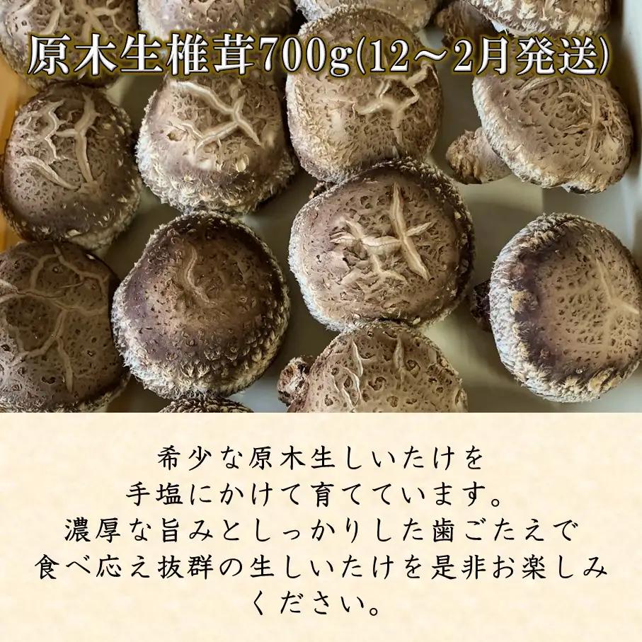 【先行予約】原木生椎茸と干し椎茸の定期便 計3回発送 しいたけ シイタケ 国産 大分県_2768R-2