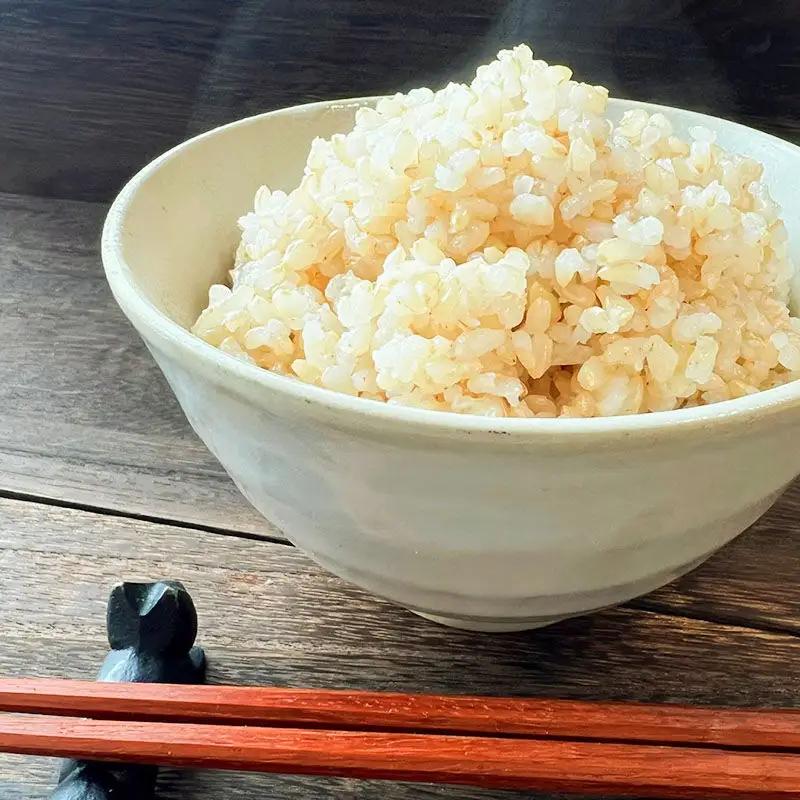 【玄米】 秋田県産 ミルキークイーン 10kg 令和7年産 ひろっきい米