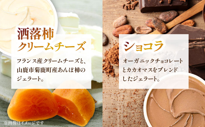 ジェラート 6個入り （ジャージーミルク、山鹿和栗、岳間抹茶、塩キャラメル、ショコラ、洒落柿クリームチーズ 各1個）　（各100ml） 【株式会社パストラル】 [ZAR001]
