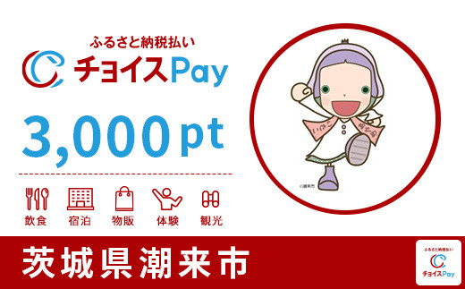 
潮来市チョイスPay 3,000pt（1pt＝1円）【会員限定のお礼の品】
