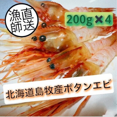 【ふるさと納税】ぷりぷりボタンエビ　北海道日本海ボタンエビ【200g×4】_ ボタンエビ ぼたんえび ボタン海老 牡丹海老 海鮮 エビ えび 海老 冷凍 北海道 日本海 国産 魚介類 刺身 天ぷら おかず おつまみ 肴 晩酌 産地直送 送料無料 【配送不可地域：離島】【1455492】