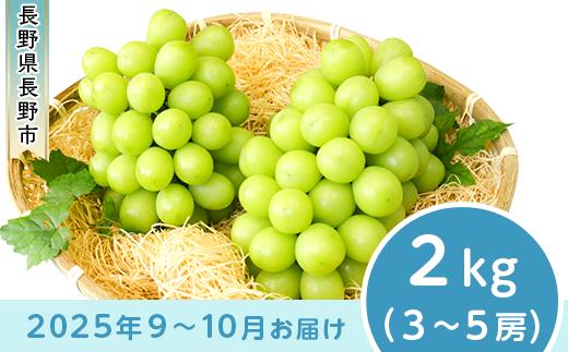 
            J0499 長野市産 シャインマスカット2kg【2025年9月以降出荷分】フルーツ ぶどう 葡萄 ブドウ 果物 人気 種なし 新鮮 期間限定 令和7年 2025年発送 おすすめ 産地 お届け 長野市 長野県
          