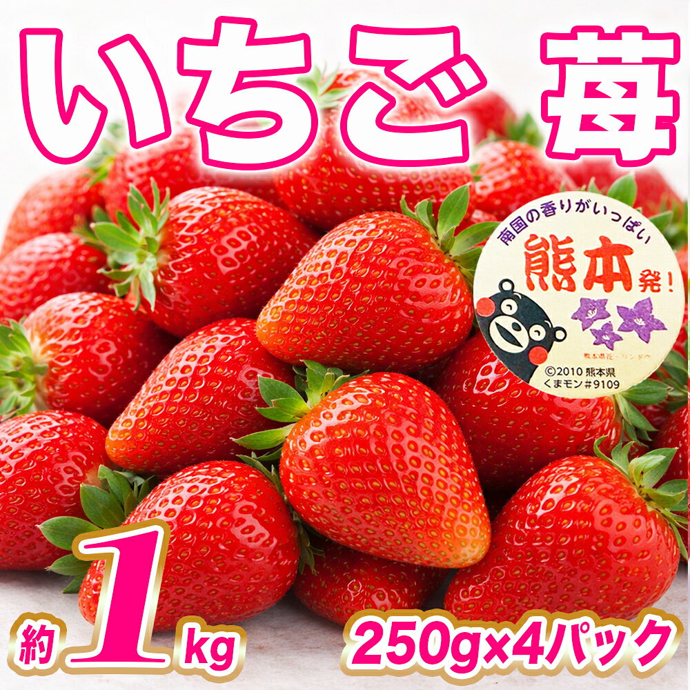 【ふるさと納税】 いちご 計約1kg（250g×4パック） イチゴ 苺 フルーツ くだもの 果物 果実 デザート 冷蔵 熊本県産 国産 九州 熊本県 送料無料 【2027年1月上旬から2月上旬発送予定】