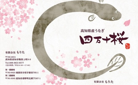 【2回定期便】極上国産うなぎ四万十桜　蒲焼き約140g×3尾 | 蒲焼うなぎ 四万十うなぎ 高知県産うなぎ 厳選うなぎ うなぎ