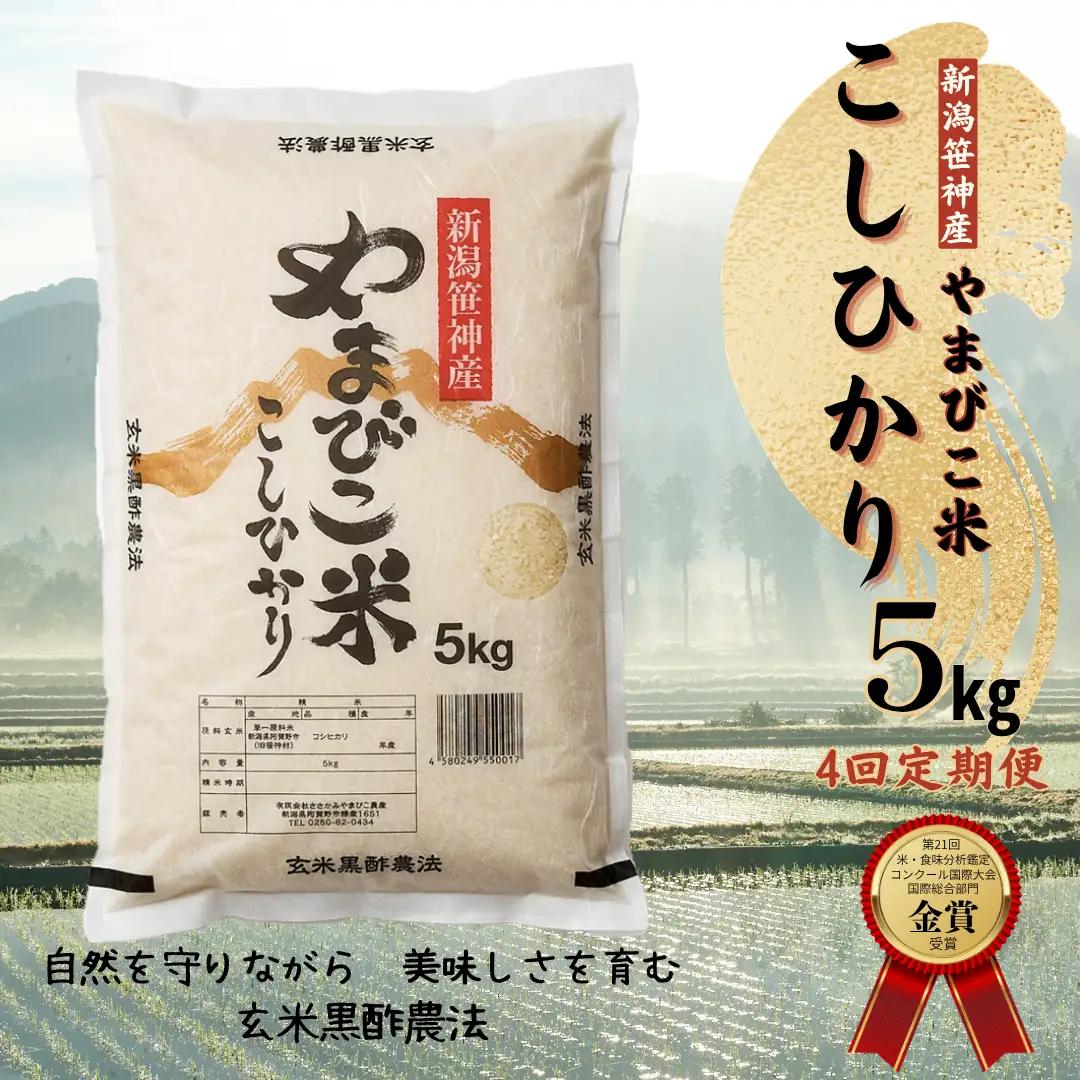 【令和8年産新米予約】【4か月定期便】コシヒカリ「やまびこ米」5kg×4回 玄米黒酢農法 金賞受賞 特別栽培米 白米 精米 農家直送 新潟県 米 こめ コメ 新米 新米予約 令和８年度産 10月中旬より順次発送 1P08055