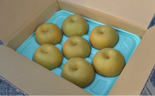 【先行予約】小林果樹園の梨 食べ比べ5～8玉 約3kg