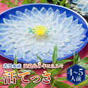 【ふるさと納税】【 発送時期が選べる 冷蔵 】淡路島3年とらふぐ活てっさ（4～5人前）◆配送10月1日～4月15日ふぐ てっさ とらふぐ ふぐ刺し ふぐ刺身 ふぐしゃぶ 活魚 鮮魚 海産物 海鮮 魚 淡路島 淡路 産地直送 お取り寄せ グルメ