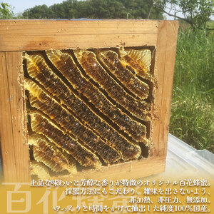 【定期便6回】日本蜜蜂の百花蜂蜜(6瓶)｜ハチミツ はちみつ みつばち 栃木県 下野市