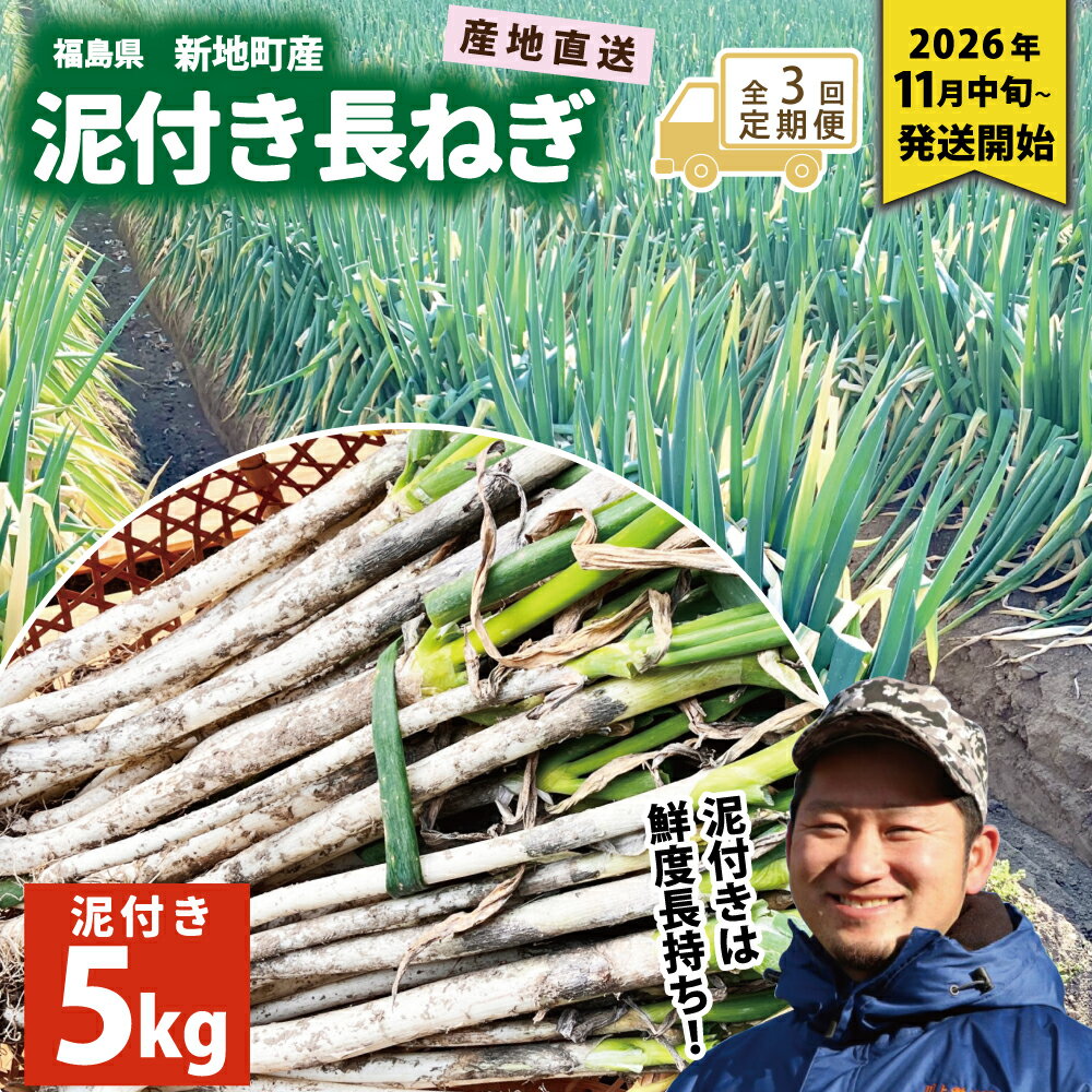 【ふるさと納税】＜先行予約＞【全3回定期便】新地町産 泥付き 長ネギ 約5kg 1箱 | 野菜 やさい 食品 人気 おすすめ 送料無料 ねぎ ネギ 葱 長ねぎ お取り寄せ 福島県 新地町 白ねぎ 鍋
