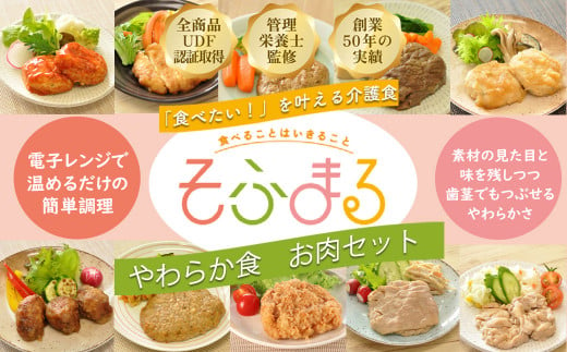 M-C16.【そふまるやわらか食】お肉セット(10食入)