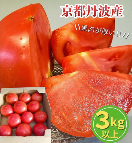 【7月下旬までの期間限定】ワイワイ・ファームの亀岡産トマト詰め合わせ 3kg以上 ≪京都 丹波 夏野菜 京野菜 産地 農家 直送 常温≫ ※離島への配送不可