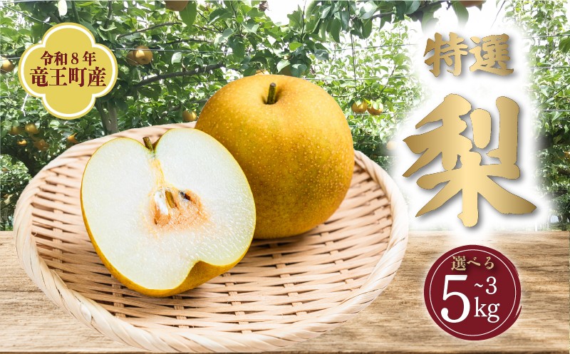 
                  【期間限定】 令和8年産 梨  選べる 3kg / 5kg 数量限定 品種 おまかせ 数量限定 なし ナシ 幸水 豊水 品種 2026年産 夏 フルーツ 果実 くだもの 竜王産 滋賀県 竜王町 送料無料 ふるさと納税
                