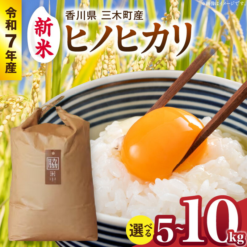 【ふるさと納税】【選べる内容量】【令和7年産】香川県三木町産ヒノヒカリ5～10kg　≪IDOMALLセレクト≫ 米 お米 ご飯 白ご飯 ご飯 白米 ヒノヒカリ ストック 常温 おにぎり おむすび ギフト お裾分け 贈り物 贈答 人気 おすすめ 香川県産 香川県 三木町 送料無料