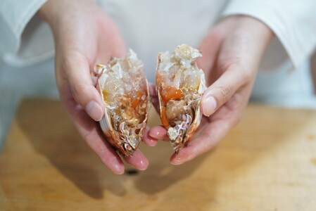 【6回 定期便 活冷凍 アサヒガニ 約２㎏ 】 アサヒガニ あさひがに 朝日蟹 蟹 かに カニ 活冷凍 活き 生 姿 冷凍 セット 詰め合わせ パスタ 味噌汁 焼ガニ 魚介類 海鮮 海の幸 産地直送 