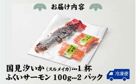 ふくい海の幸2点セットB 【ふくいサーモン するめ スルメ いか イカ 汐いか 冷凍】 [A-004011]