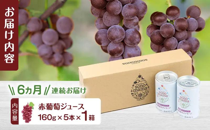 《 定期便 6ヵ月 》 赤葡萄ジュース「sonomama」（160g×5本）×1箱 ぶどう ブドウ ジュース ぶどうジュース 飲料