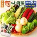 【ふるさと納税】【定期便】熊本県合志の旬のお野菜定期便 計10回コース 10回 おまかせ 野菜 季節の野菜 新鮮 旬 詰め合わせ 国産 九州産 熊本県 合志市 送料無料