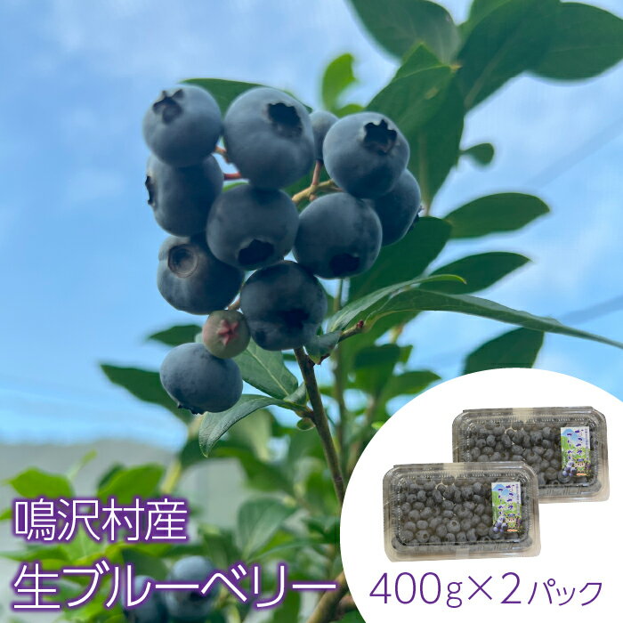 【ふるさと納税】＜26年発送先行予約＞鳴沢村産生ブルーベリー400g×2パック ふるさと納税 ブルーベリー 生ブルーベリー フルーツ 山梨県 鳴沢村 送料無料 NSJ033