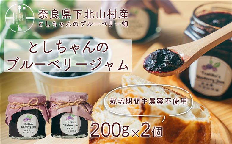 栽培期間中農薬不使用 としちゃんのブルーベリージャム200gx2個 手摘み 下北山村産