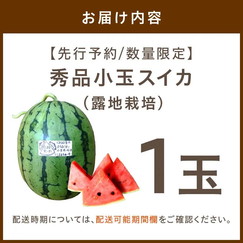 【先行予約／数量限定200】スイカ にしまるスイカ 秀品 1玉｜2026年7月中旬から発送