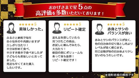 常陸牛 切り落とし 1kg 定期便 牛肉 国産牛 和牛 切落し お肉 A4ランク A5ランク ブランド牛 切り落し すき焼き 小分け 【 3ヶ月 定期便 】（茨城県共通返礼品） [CD015sa]